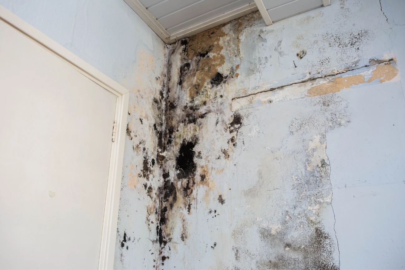 Water Damage Repair
