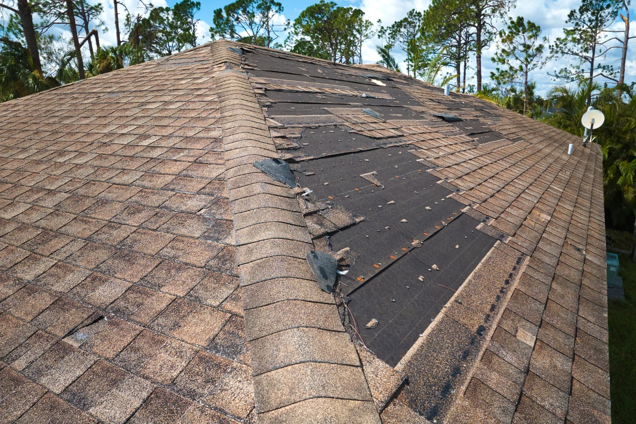 Roof Damage service